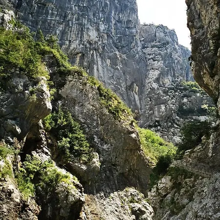 Camping Chasteuil Verdon Provence *